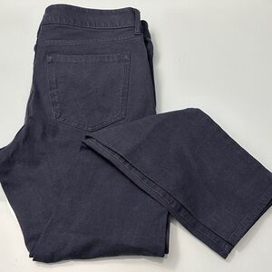 Banana Republic Blue Khaki Skinny Pants